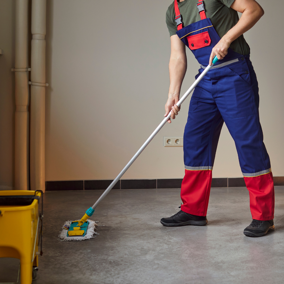 غسيل الكنب والسجاد بالبخار